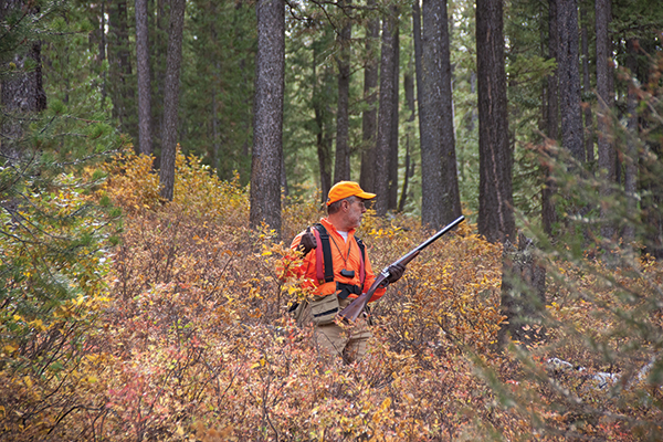 photo by Dale Spartas  grouse hunting, mountain grouse, montana