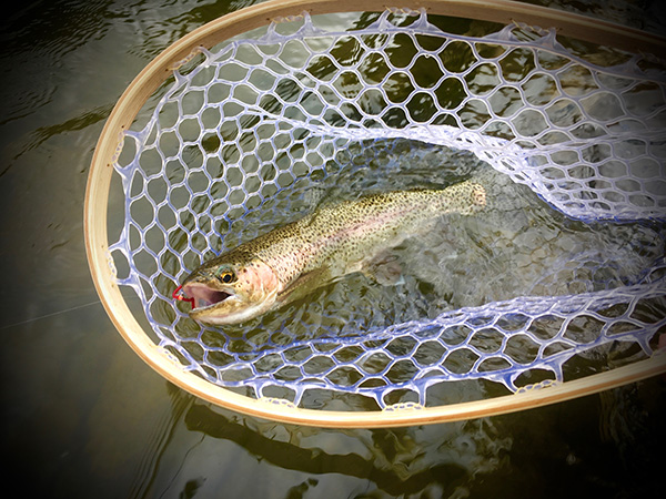Photo by David Tucker Lower Madison, Madison River, Fly Fishing, Montana