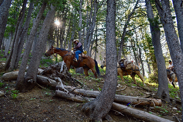 Photo by David Tucker The Lionhead, West Yellowstone, CDT, Mountain Biking