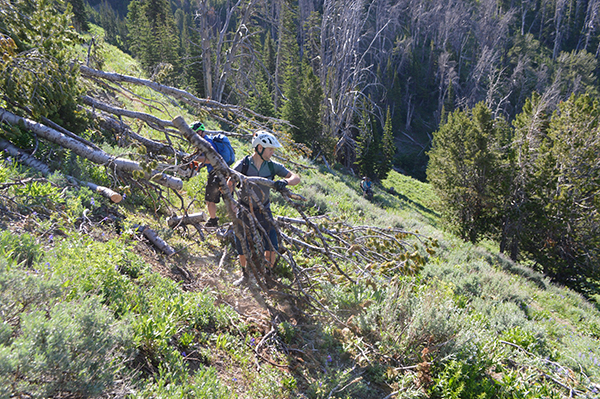 Photo by David Tucker The Lionhead, West Yellowstone, CDT, Mountain Biking
