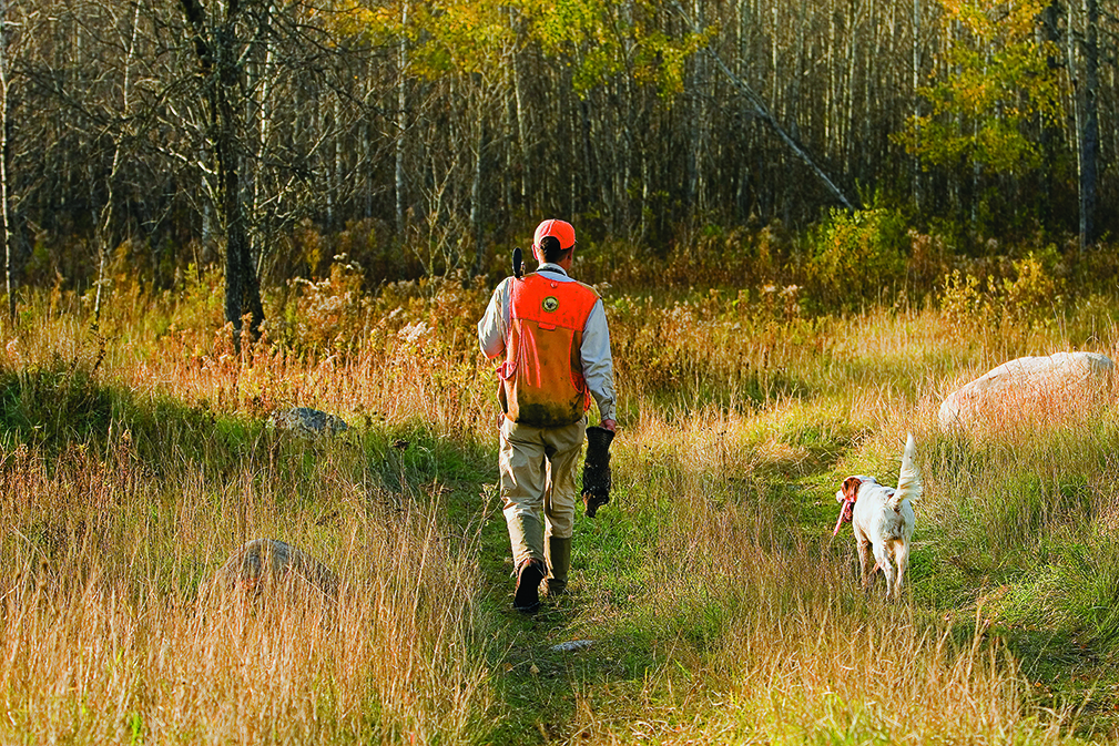 Photo by Denver Bryan grouse hunting dog outside bozeman
