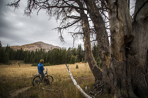 Photo by Ryan Krueger The Lionhead, West Yellowstone, CDT, Mountain Biking