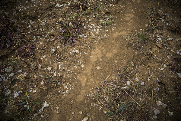 Photo by Ryan Krueger The Lionhead, West Yellowstone, CDT, Mountain Biking