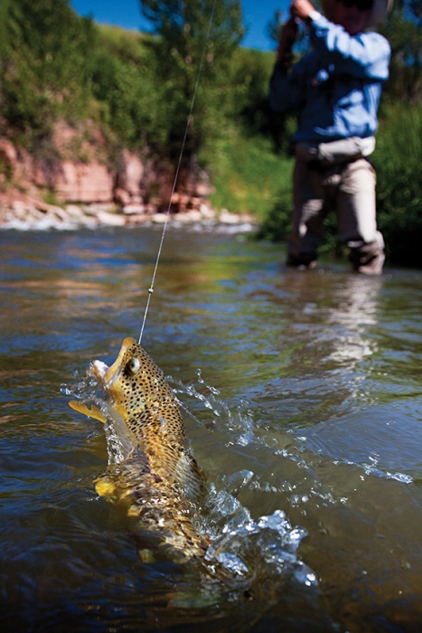 photo by Craig Hergert Fly fishing outside bozeman