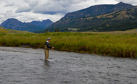 Photo by Pico Alt Fly Fishing Yellowstone, Redington Fly fishing