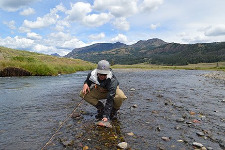 Photo by Pico Alt Yellowstone Fly Fishing, Redington Topo Outfit
