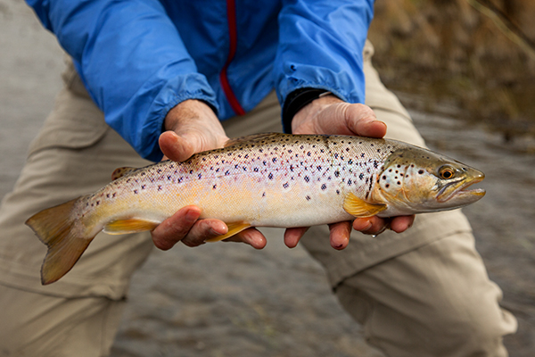 Photo by Craig Hergert Jefferson River, Canoe, Fishing, Fall