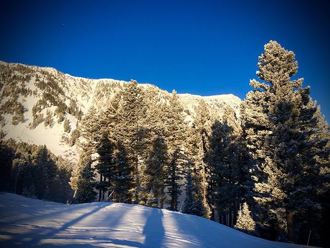 Photo by David Tucker Bridger Bowl, Backcountry Skiing, Bozeman, Montana