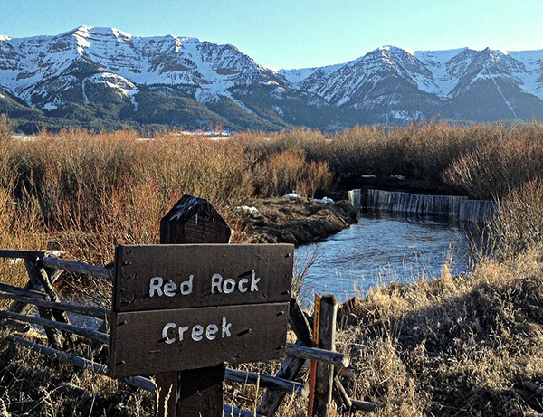 Photo courtesy USFWS Red Rock Lakes, USFWS, Montana