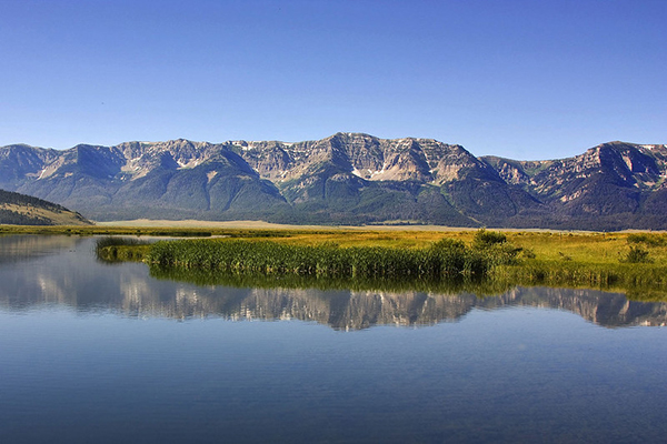 Photo courtesy USFWS Red Rock Lakes, USFWS, Montana