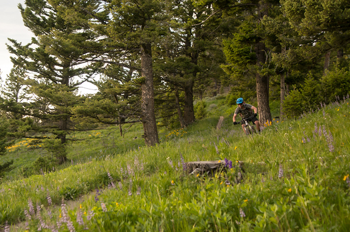 photo by Corey Hockett biking outside bozeman stone creek