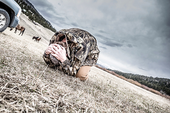 Photo by Fred Brault Photo by Fred Brault