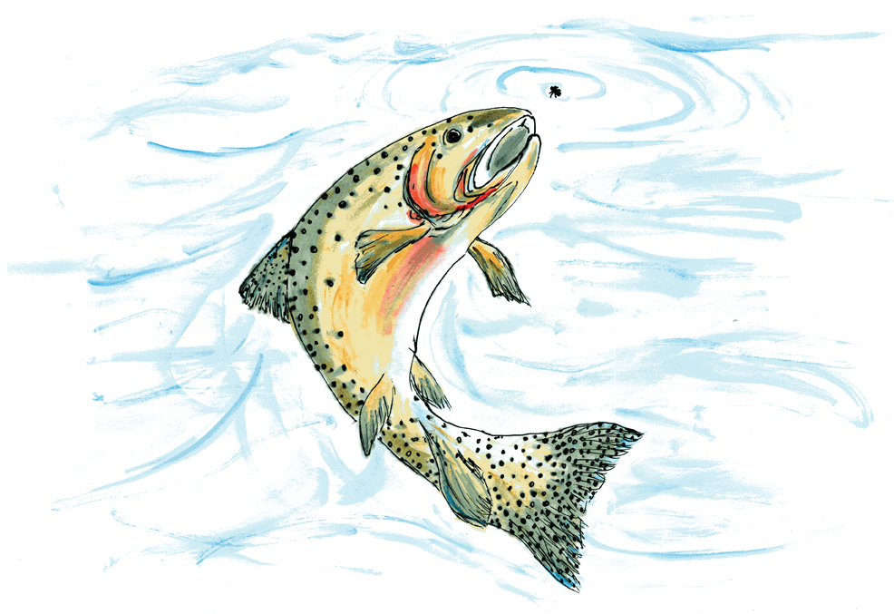 Illustration by Angie Mengels