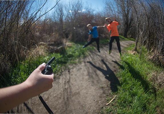 Photo by Bob Allen Cougar Collars, Lion in Wait, Bozeman