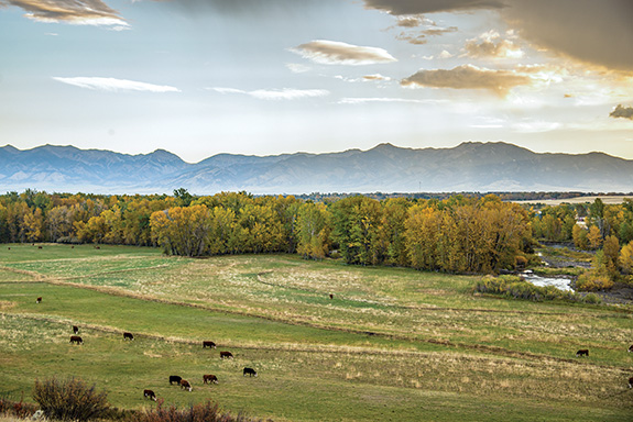 Photo by Alexis Bonogofsky Montana Land Reliance, Conservation Easement, Gallatin Valley, Montana