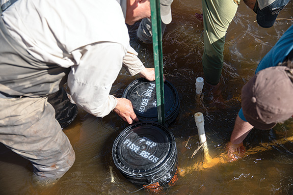 Photo by Andy Woodward Jefferson River, Fly Fishing, Trout Unlimited
