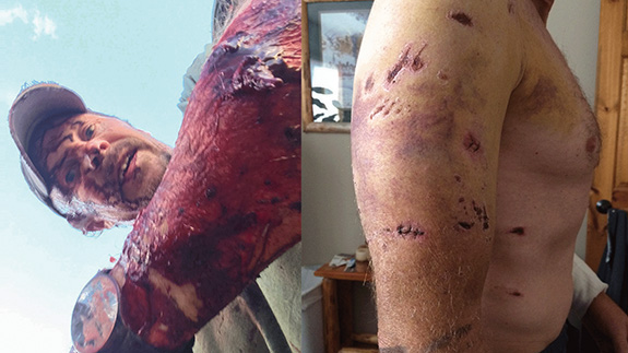 Photo courtesy Todd Orr Grizzly Bear, Bear Attack, Montana, Todd Orr