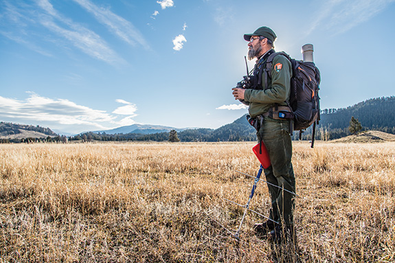 Photo by Jacob W. Frank / NPS Rick Wallen, Yellowstone Bison, Yellowstone National Park