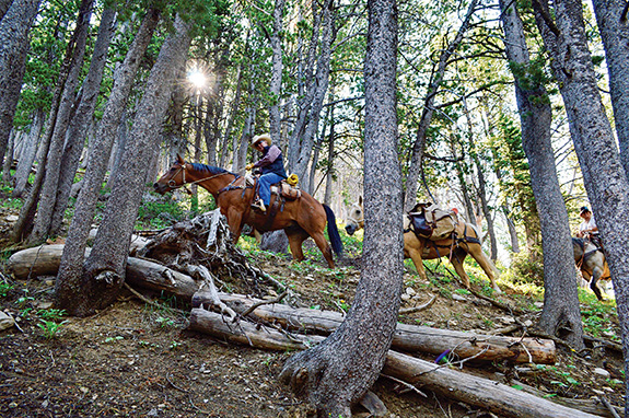 Photo by David Tucker The Lionhead, West Yellowstone, CDT, Mountain Biking