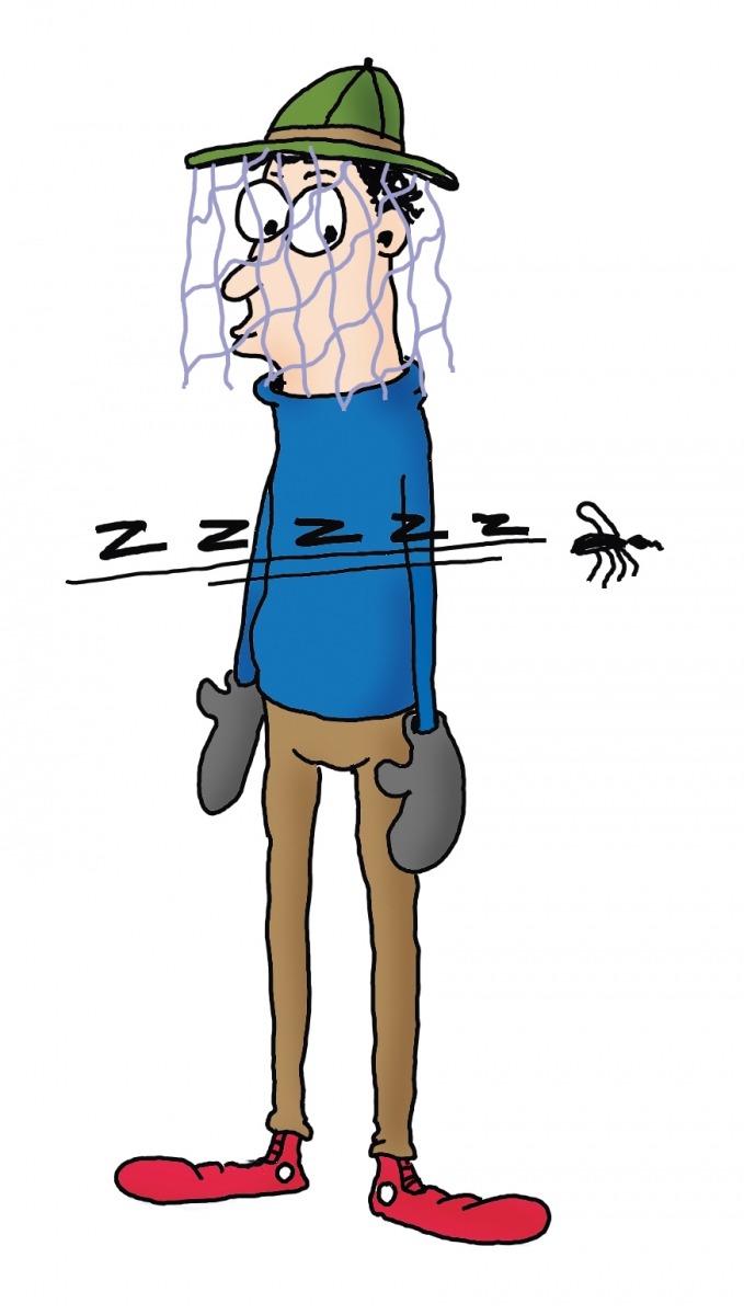 Illustration by Blaise Arsenault mosquito, safety, flora, fauna