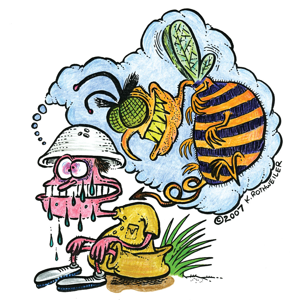 Illustration by Kyle Rothweiler bees, bee sting, mosquito