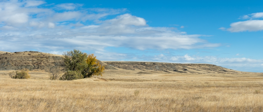first peoples state park, buffalo jump, 