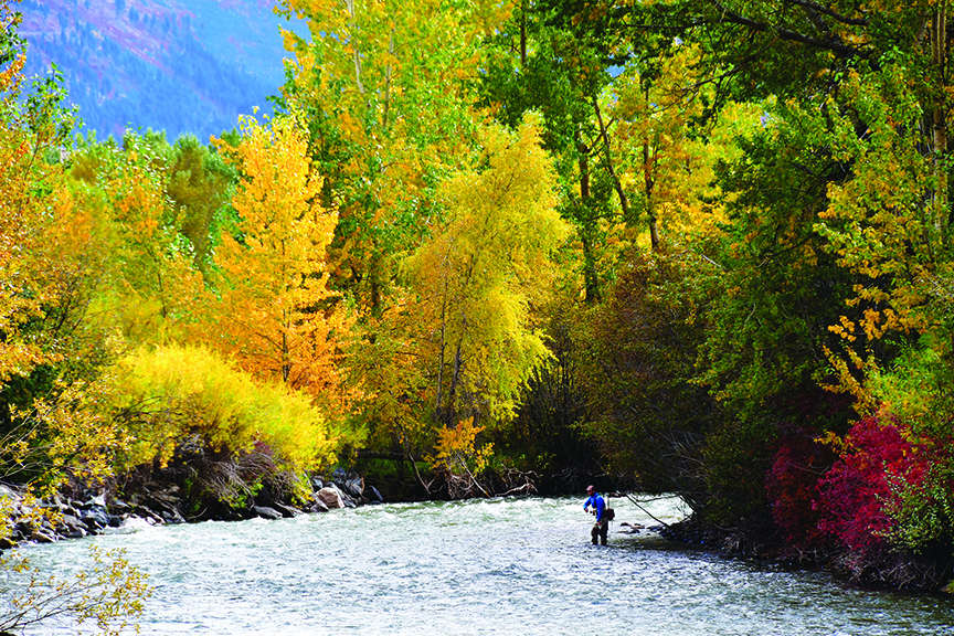 photo by Gwen Morgan fishing gallatin river