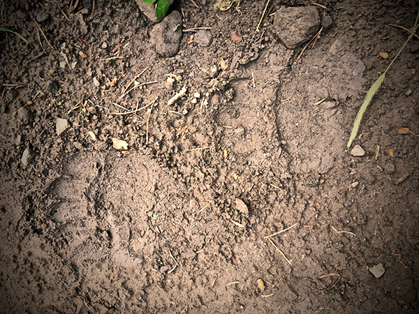 Photo courtesy Orville Bach Gallatin Range, Gallatin Crest, Bozeman