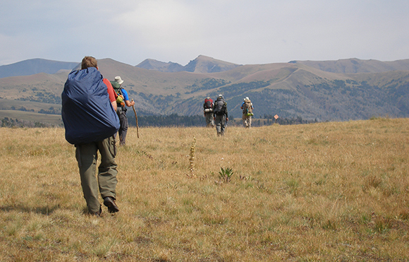 Photo by Vicki Sielaff Yellowstone Park, Lamar Valley