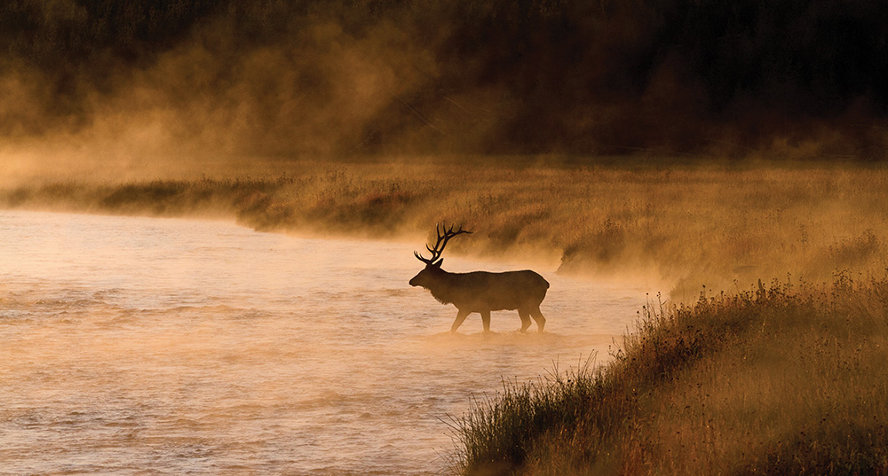 photo by Sandi Sisti spring, lamar valley, yellowstone