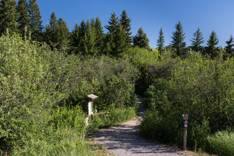 photo by Jack Taylor trailhead, trails, drinking horse, hiking, trail running