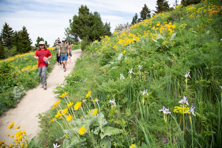 photo by Ian Roderer hiking, family, trails
