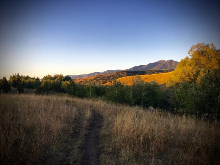 photo by David Tucker Highland Glen