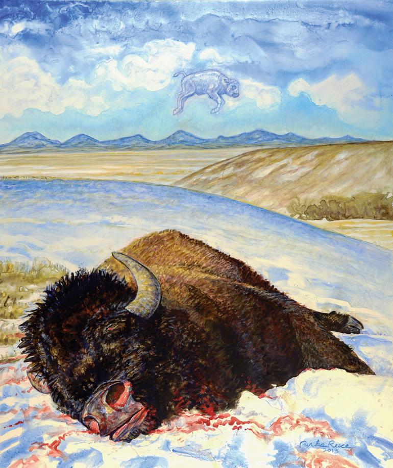 Dead bison Yellowstone Park, bison hunt, buffalo hunt