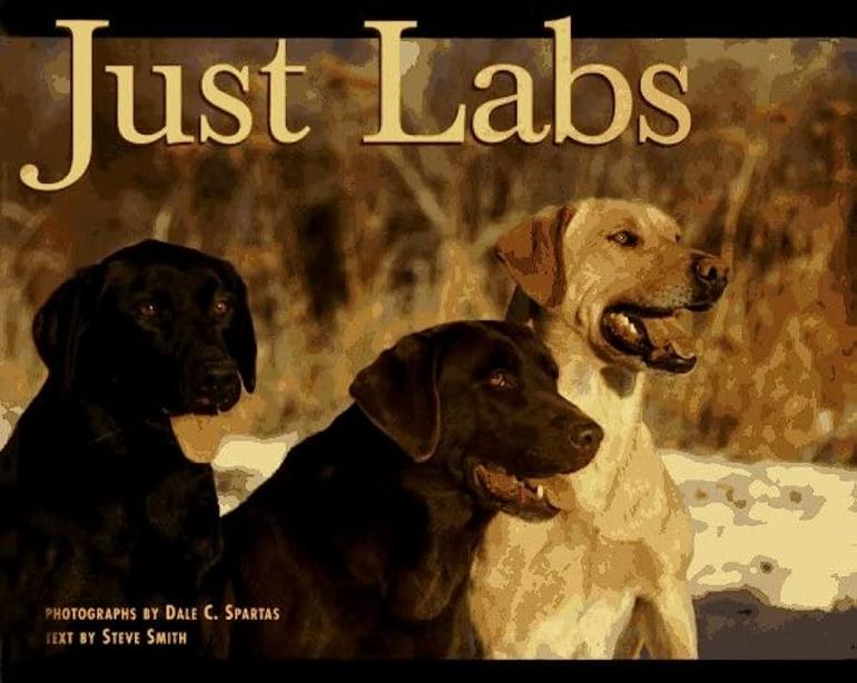 Just Labs by Dale Spartas