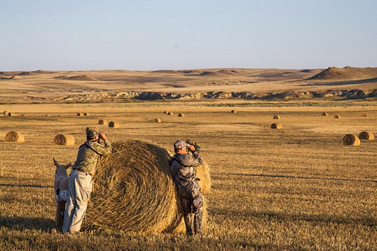 Hunting in field with hay-bales