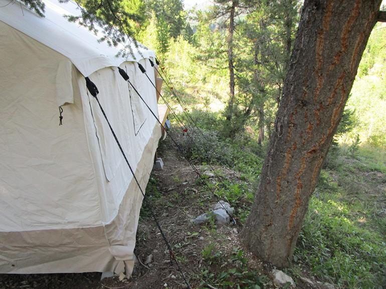 white duck wall tent 10x12 guy lines