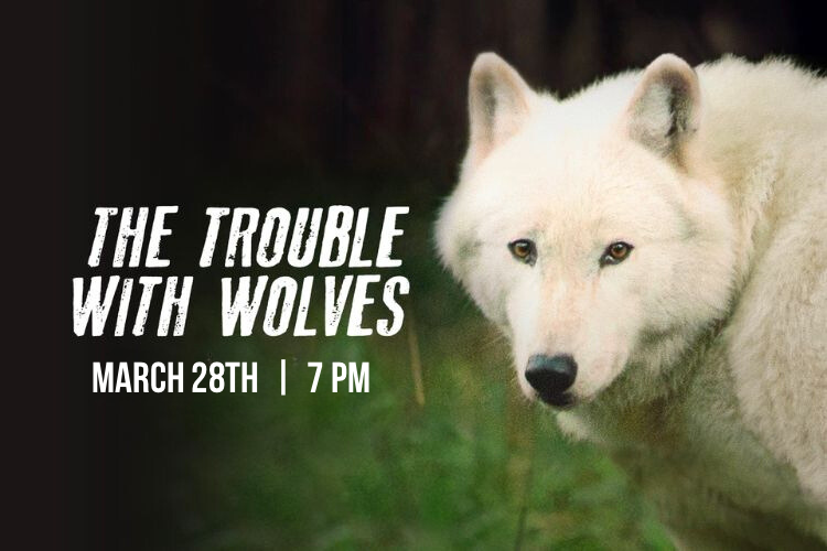 The Trouble with Wolves Film