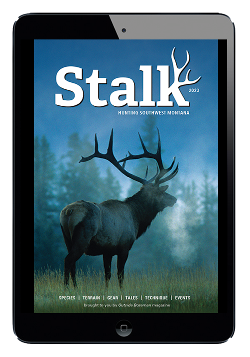 2023 Stalk Cover