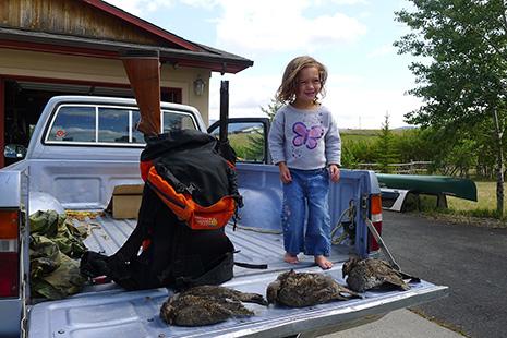 grouse hunting montana