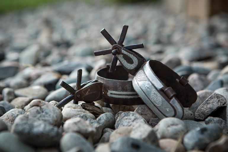 Photo by Charla Thompson CB Cattle Ranch, Madison Valley