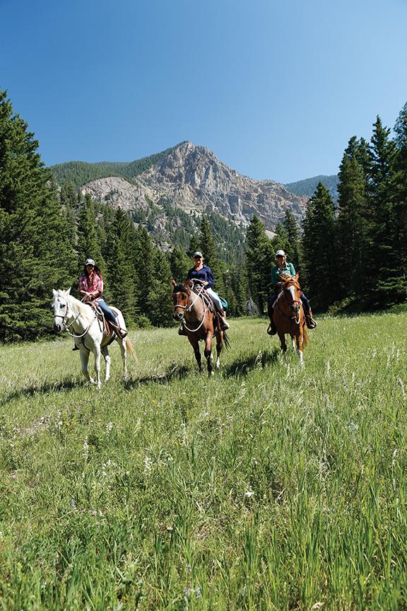 Photo by Charla Thompson CB Cattle Ranch, Madison Valley