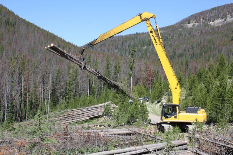 Courtesy US Forest Service