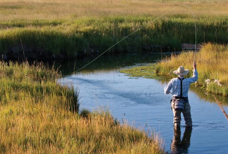 Photo by Dale Spartas