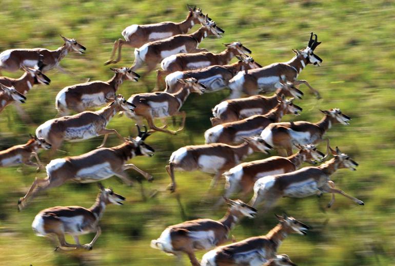 Photo by Denver Bryan