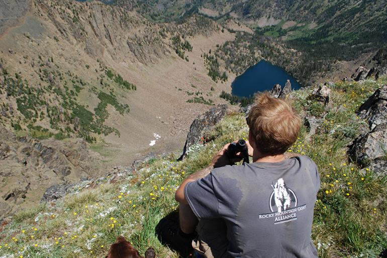 Photo Courtesy Rocky Mountain Goat Alliance Rocky Mountain Goat Alliance