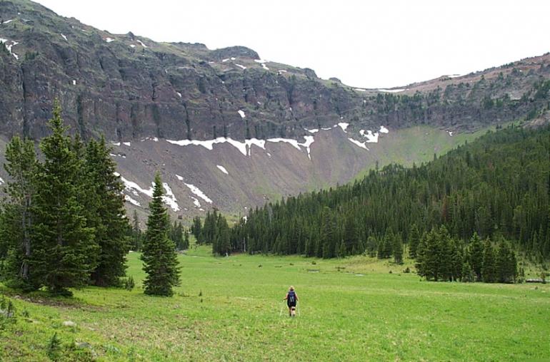 Flanders Meadow in Hyalite