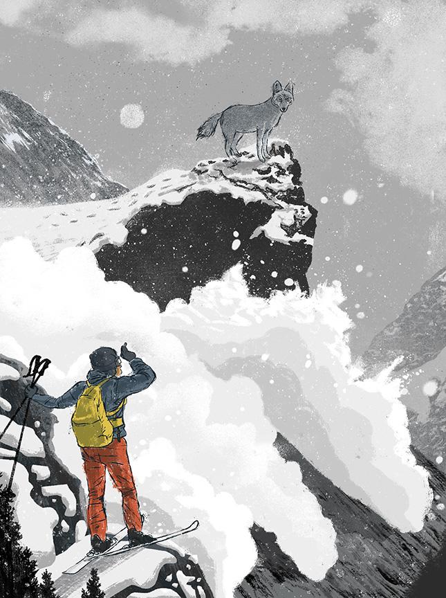 Illustration by Kevin Howdeshell Backcountry Skiing, Coyote, Montana
