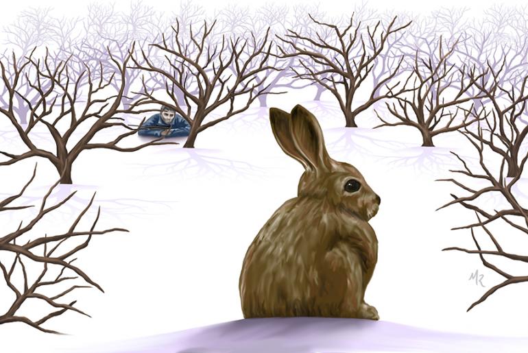 illustration by Michael Russo winter, crockpot rabbit, Outside Bozeman, Montana