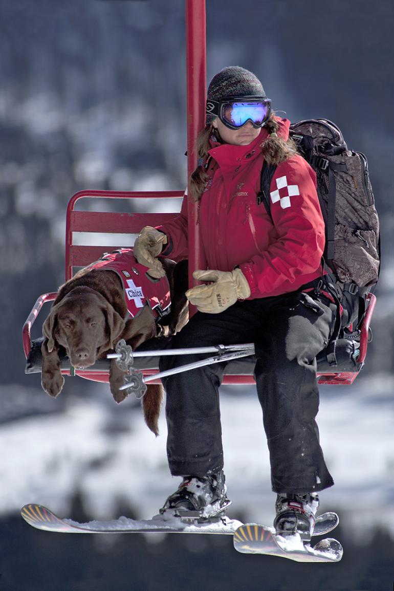 patrol dog, winter, Outside Bozeman, Montana